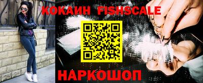 крисы Пенза