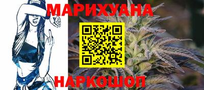 крисы Пенза