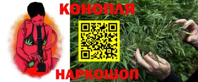 крисы Пенза